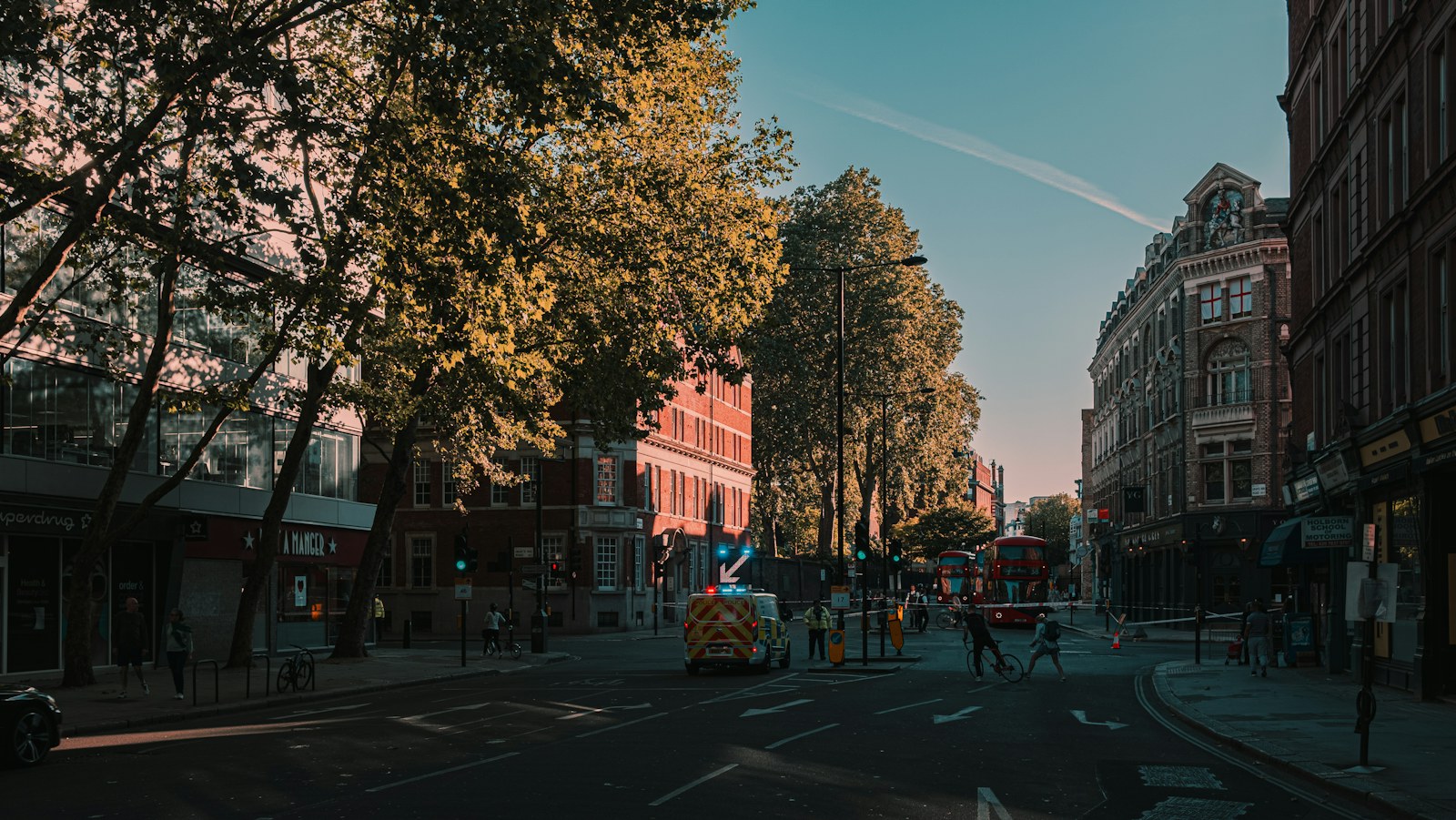 people walking on sidewalk near brown trees during daytime