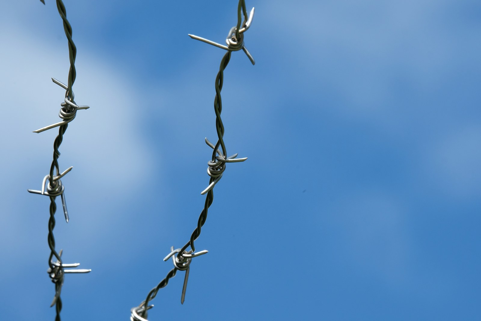 gray barbwire in close up photography