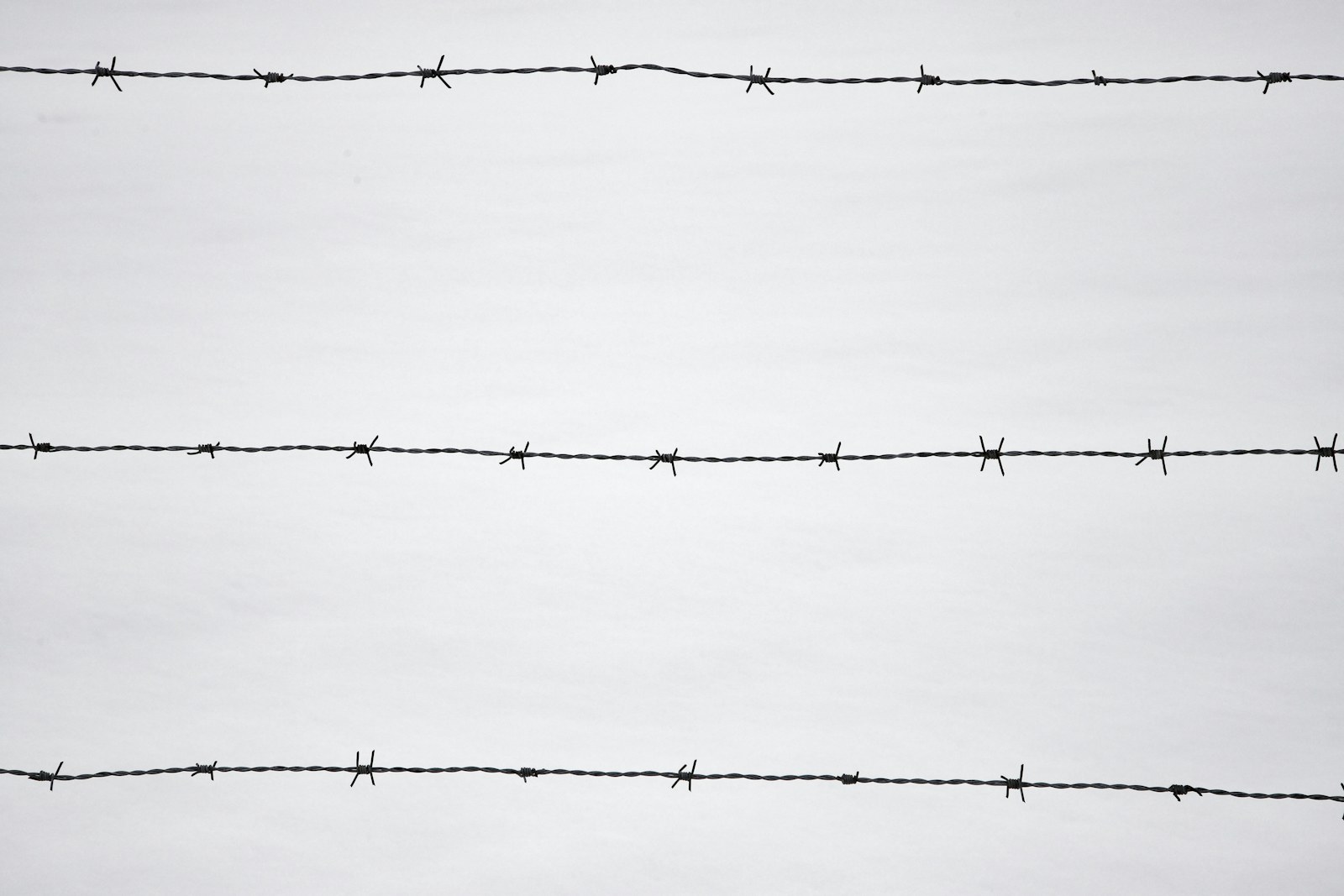 a black and white photo of a barbed wire fence