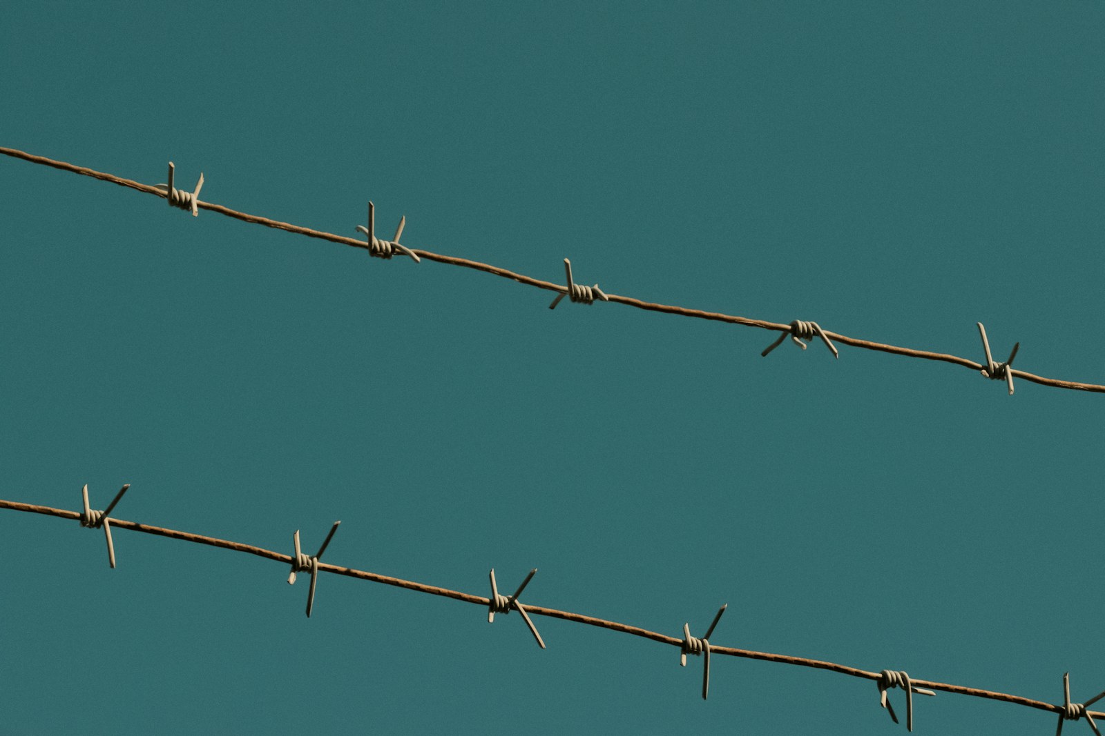 a close up of a barbed wire with a blue sky in the background