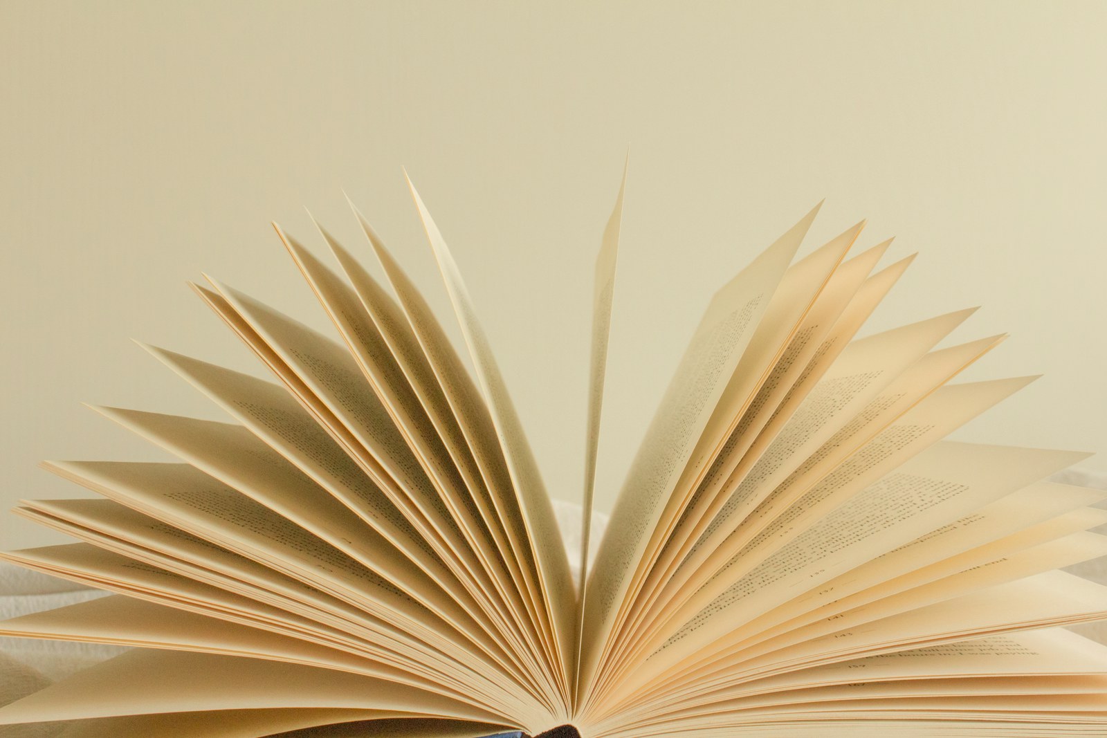 An open book with fanned pages against a plain light background