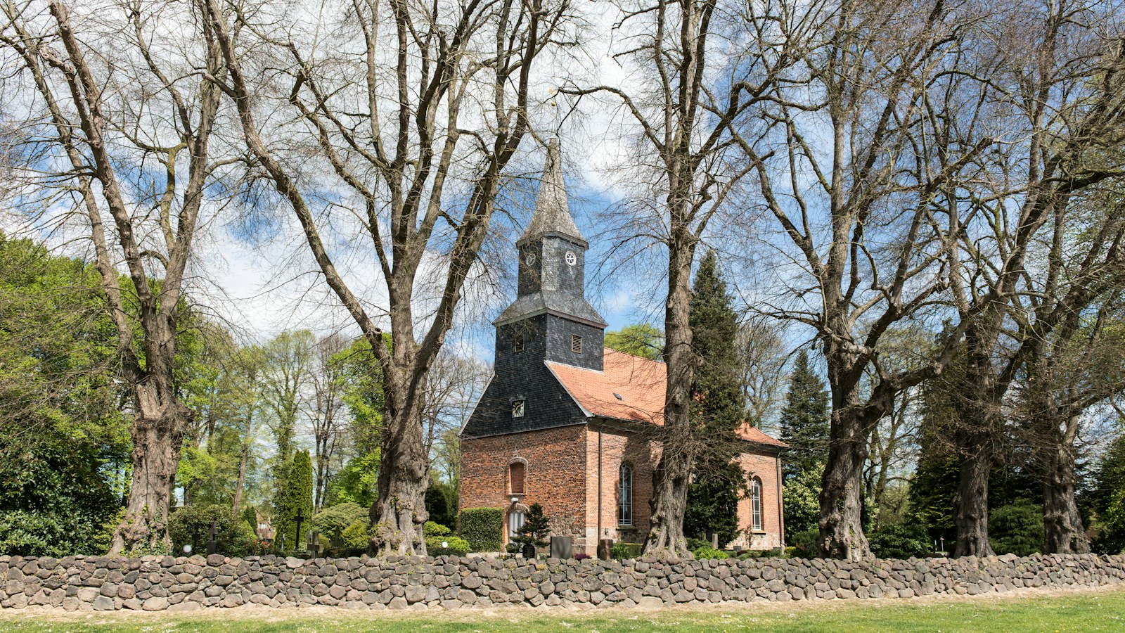 Brick church with a steeple behind trees and old trees