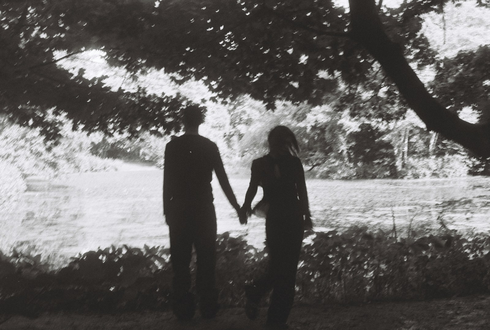 Couple holding hands under a large tree