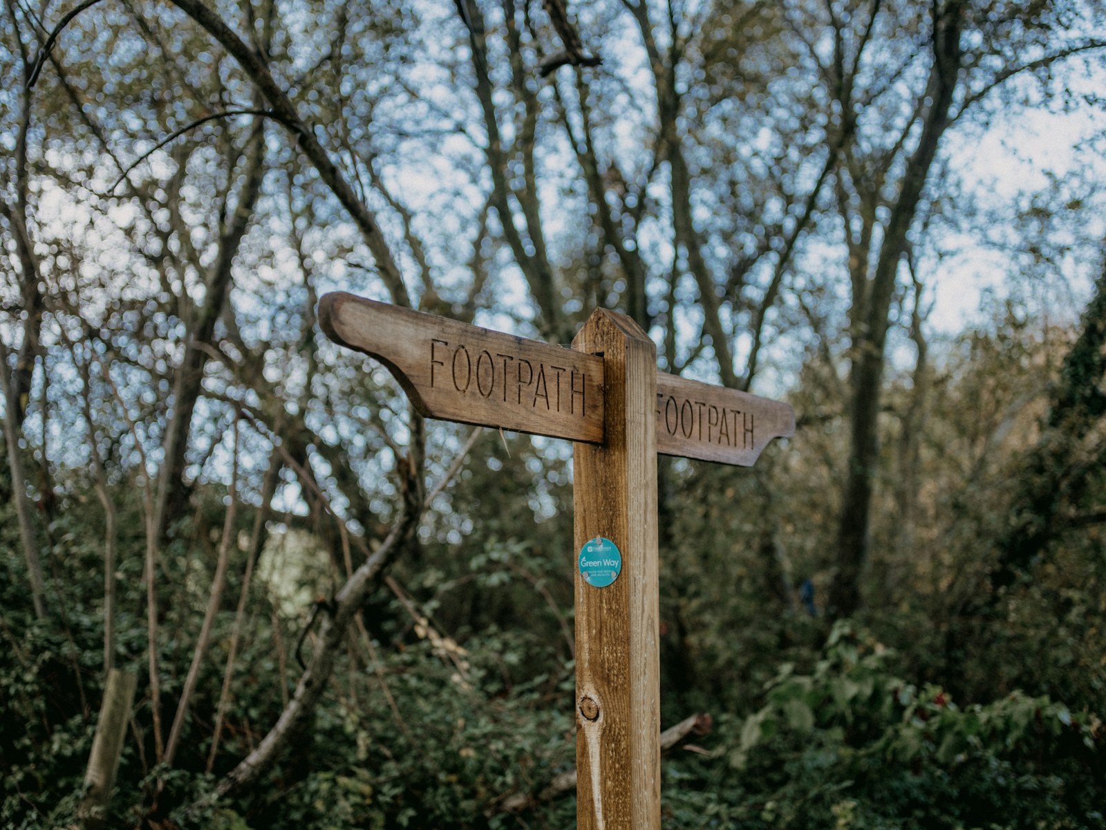 a wooden sign pointing in opposite directions in a wooded area