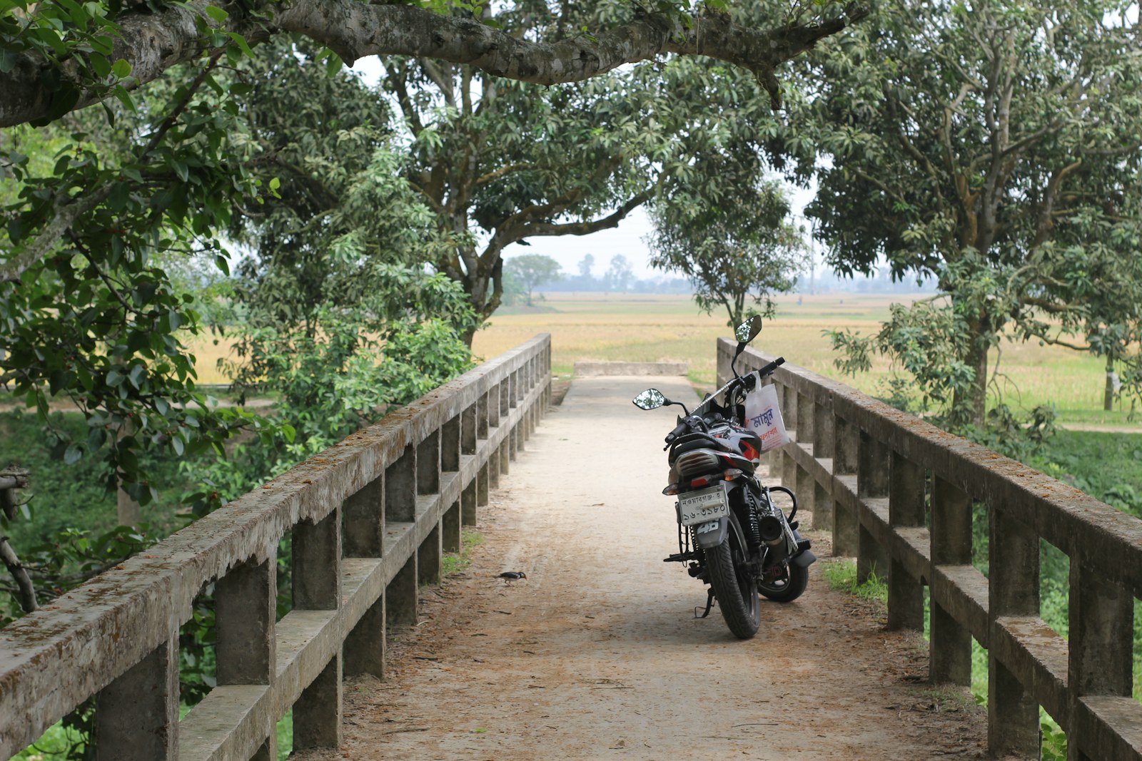 A motorcycle parked on a concrete bridge surrounded by lush green trees