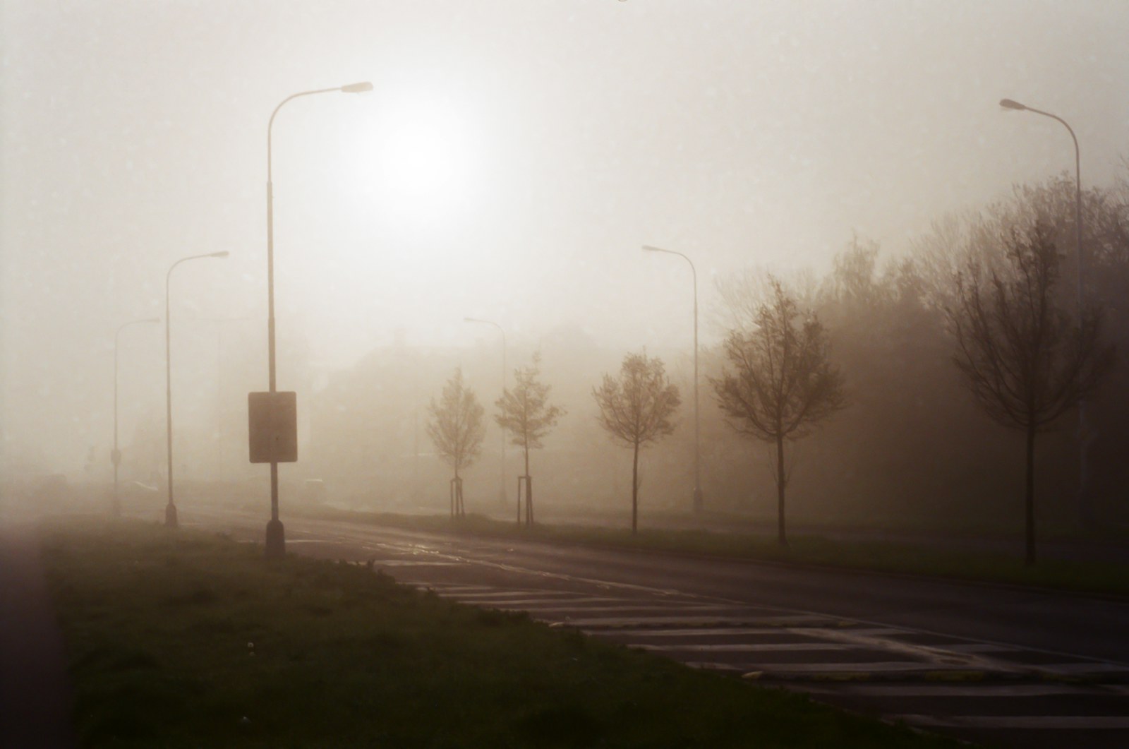 a foggy street with street lights and street signs