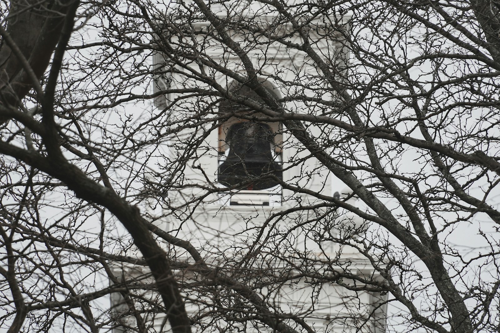 Bare tree branches obscure a white building facade