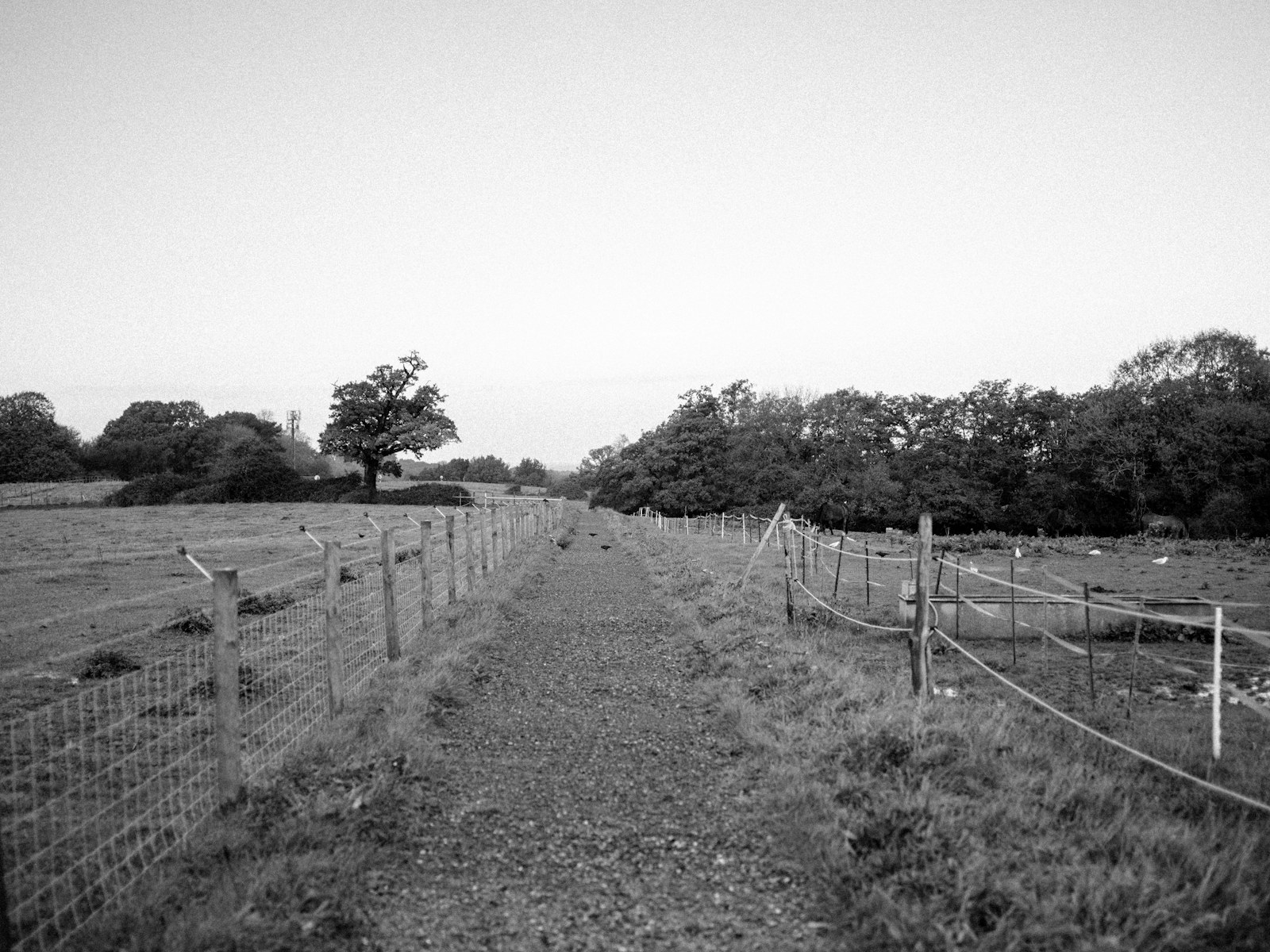 a black and white photo of a fenced in field