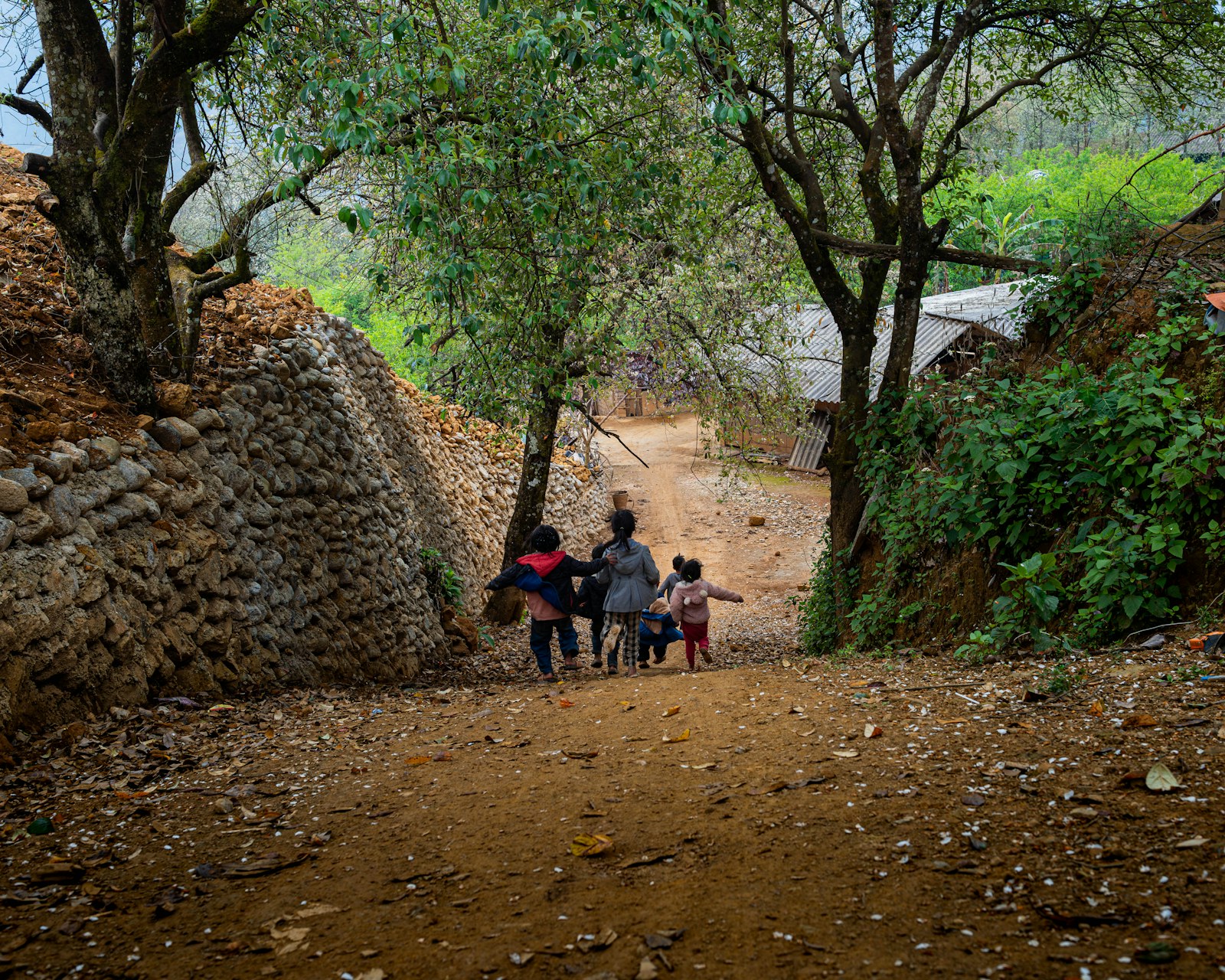 A group of children running down a dirt path between stone walls and trees