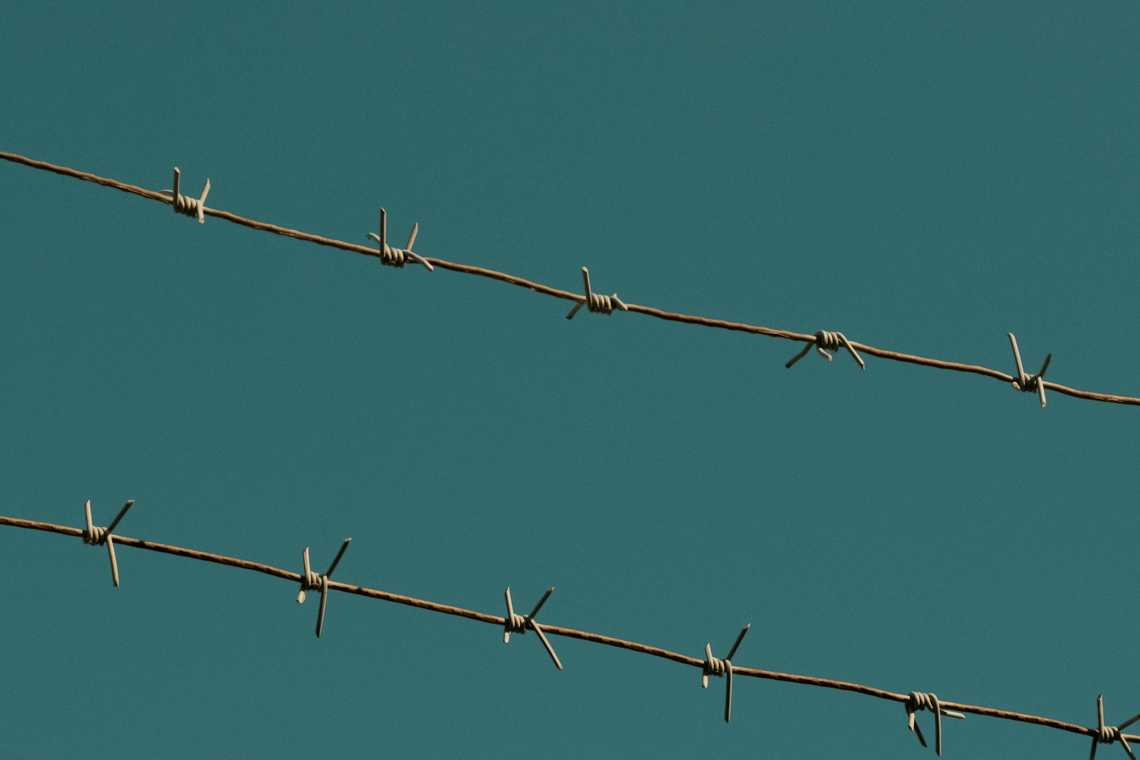 a close up of a barbed wire with a blue sky in the background