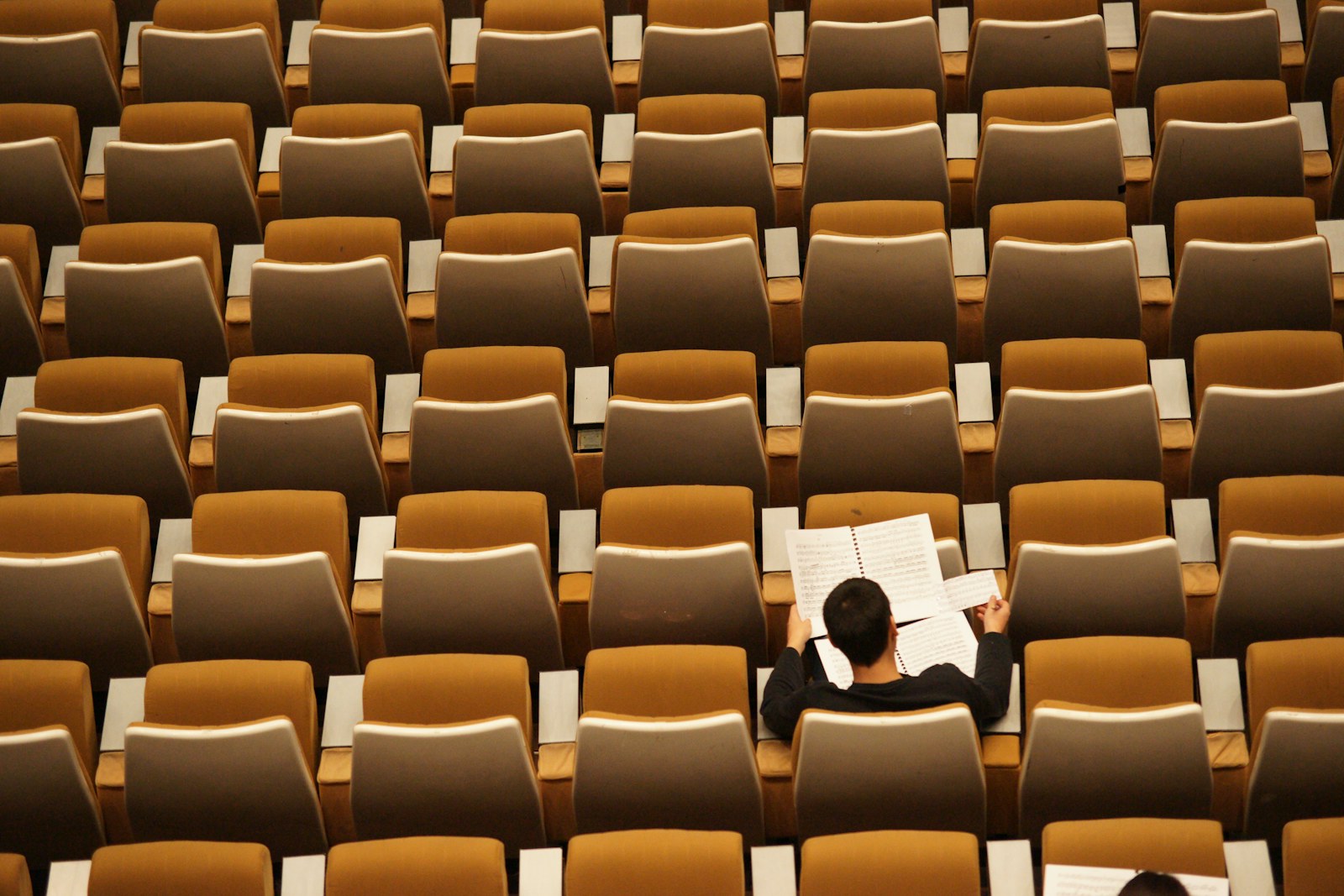 person reading in empty lecture hall