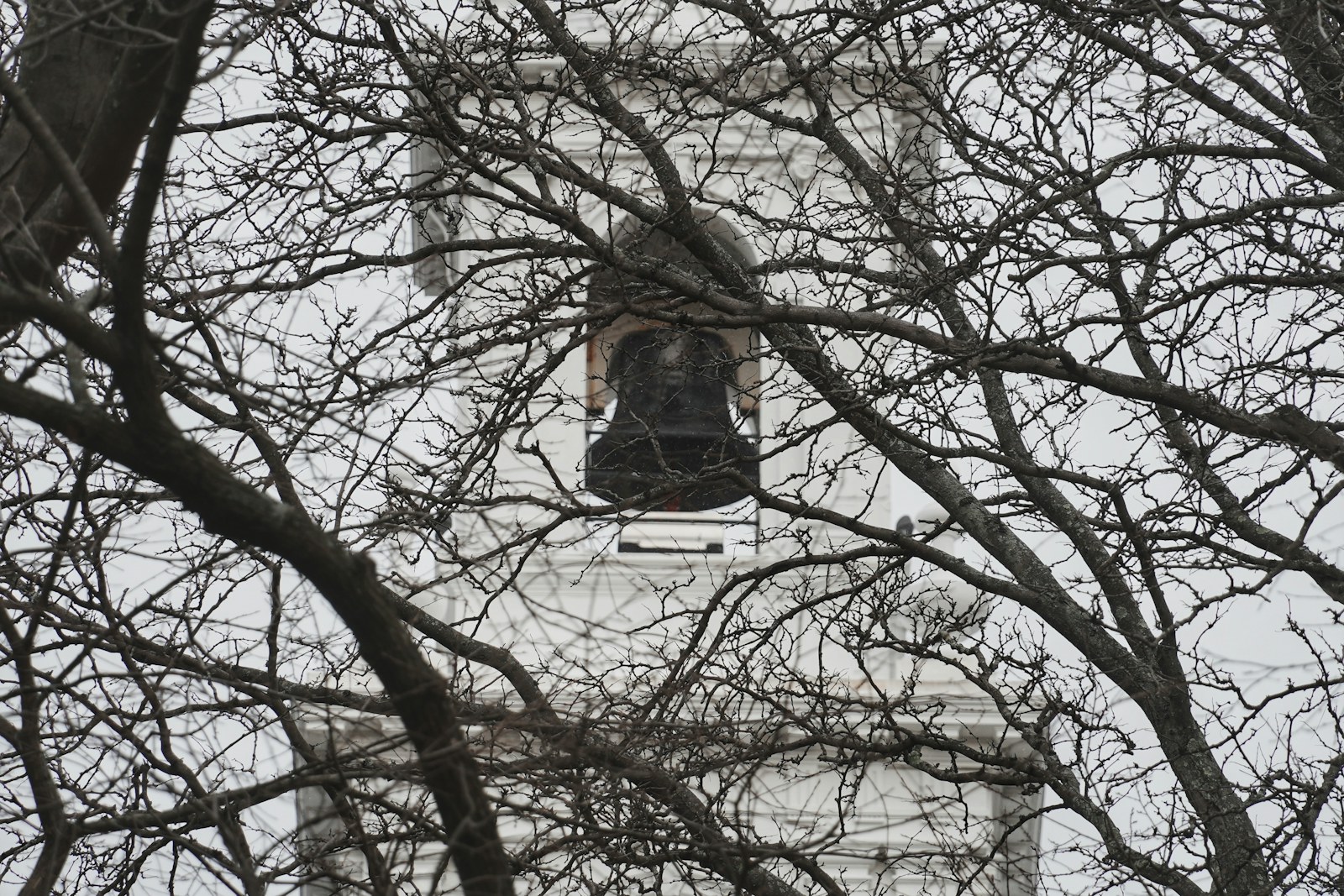 Bare tree branches obscure a white building facade