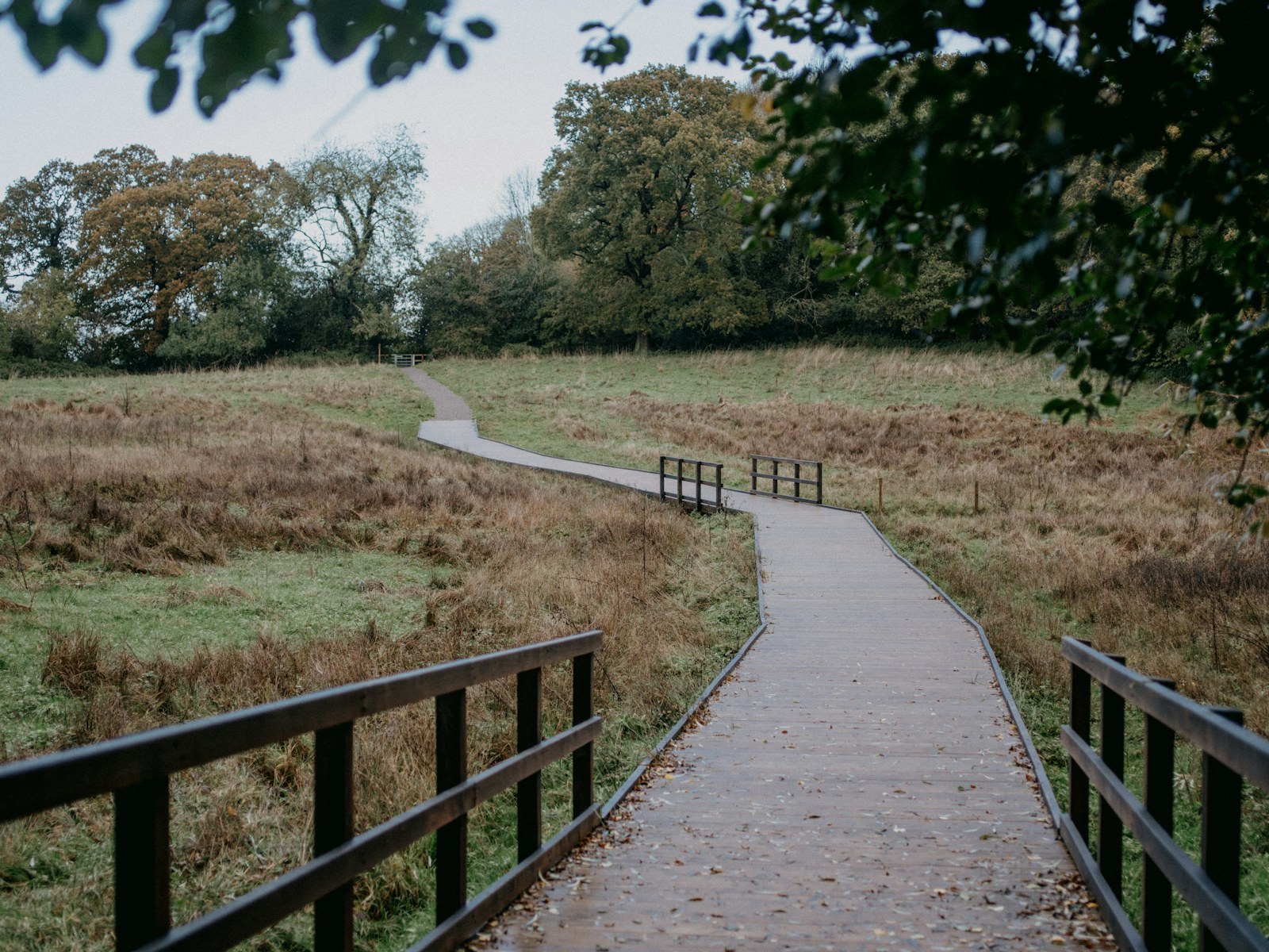 a wooden walkway leads to a grassy field
