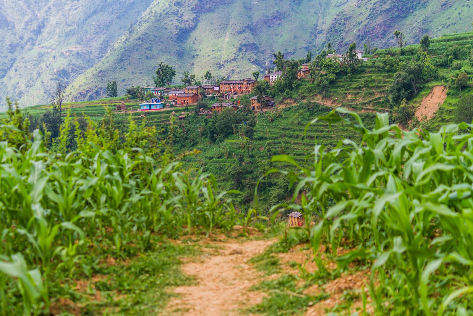 A rural village nestled on a terraced hillside