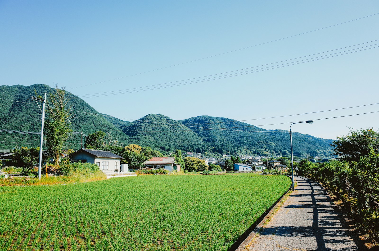 Green field with houses and rolling hills in background